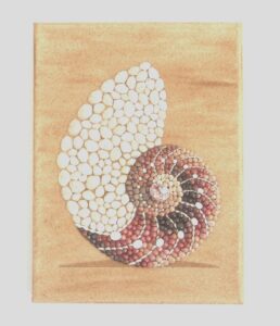 Nautilus Shell in Seashell Mosaic on Sand - 30x40cms