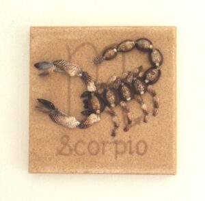 Scorpio design in Seashell Mosaic on Sand, Natural Wall Art. Sold 2 this summer. Also available from my Etsy shop.