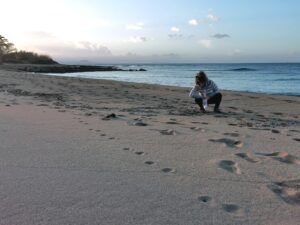 Starting to loose the light, collecting seashells on the beach at Skaleta