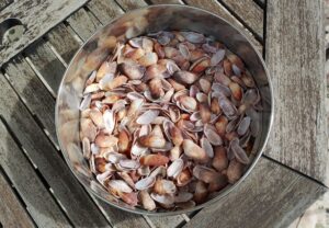 My precious collection of 'Turtle Flippers'